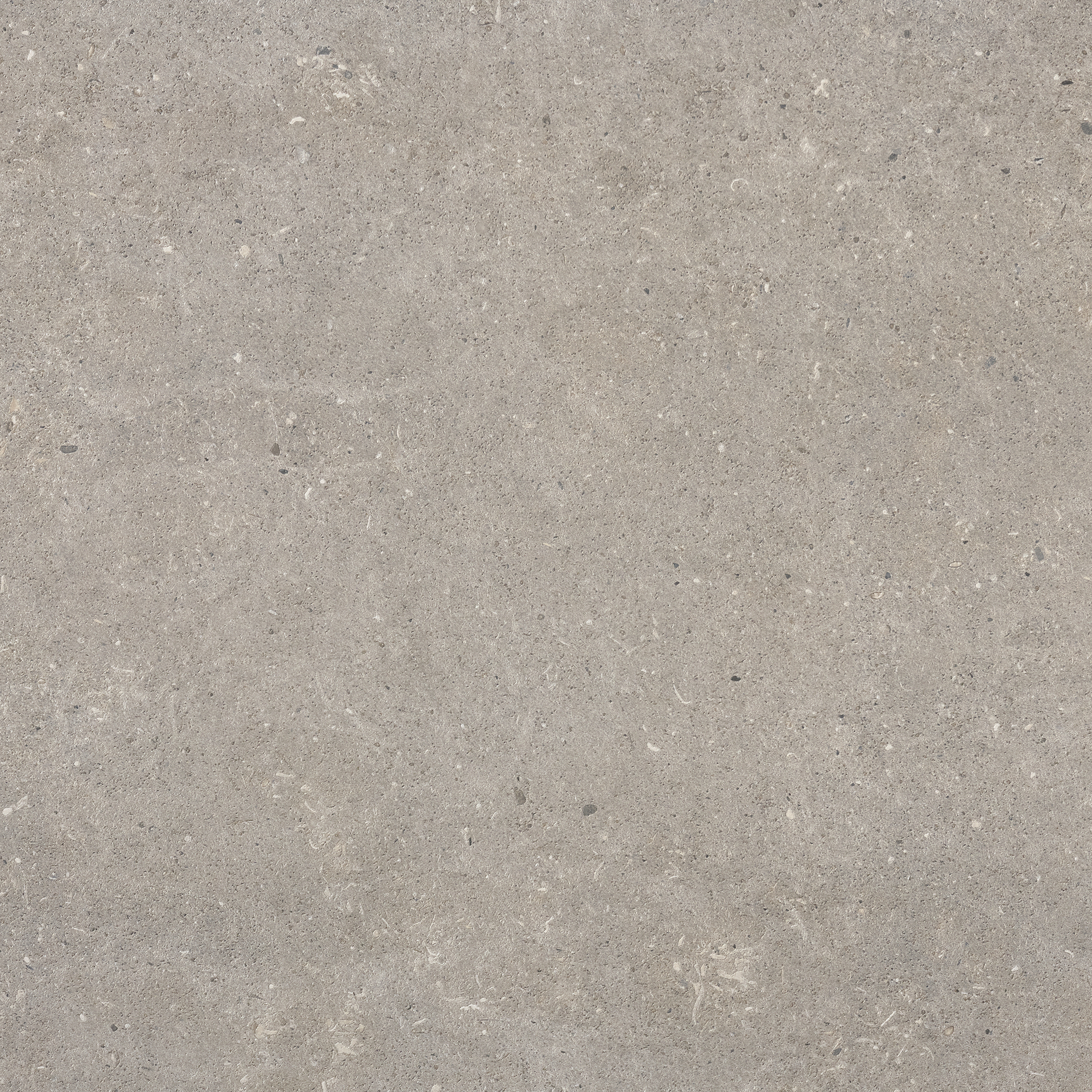 Stone Select Light Grey Poolside/Step